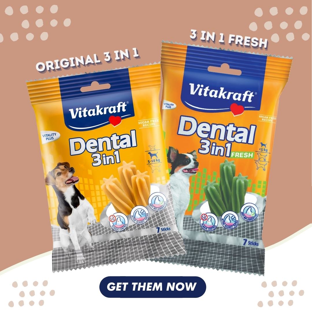 Vitakraft Dental Sticks 3in1 for dogs (plaque control, active againts ...
