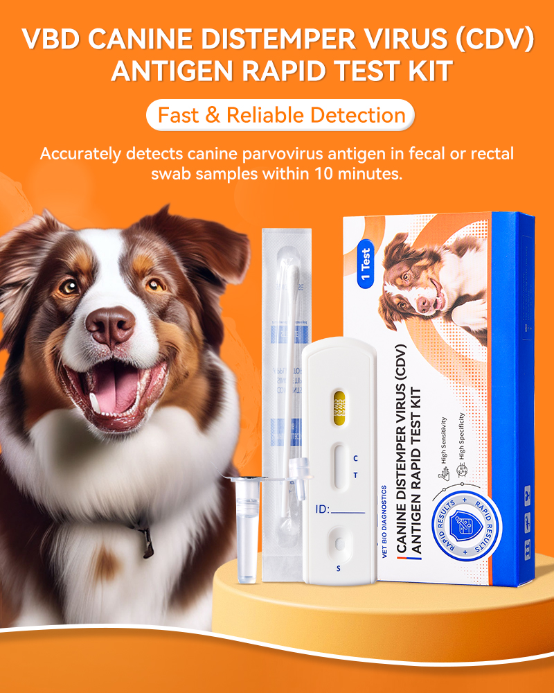 PUAINTA VBD Canine Distemper Virus (CDV) Antigen Test Kit For Dog Home ...