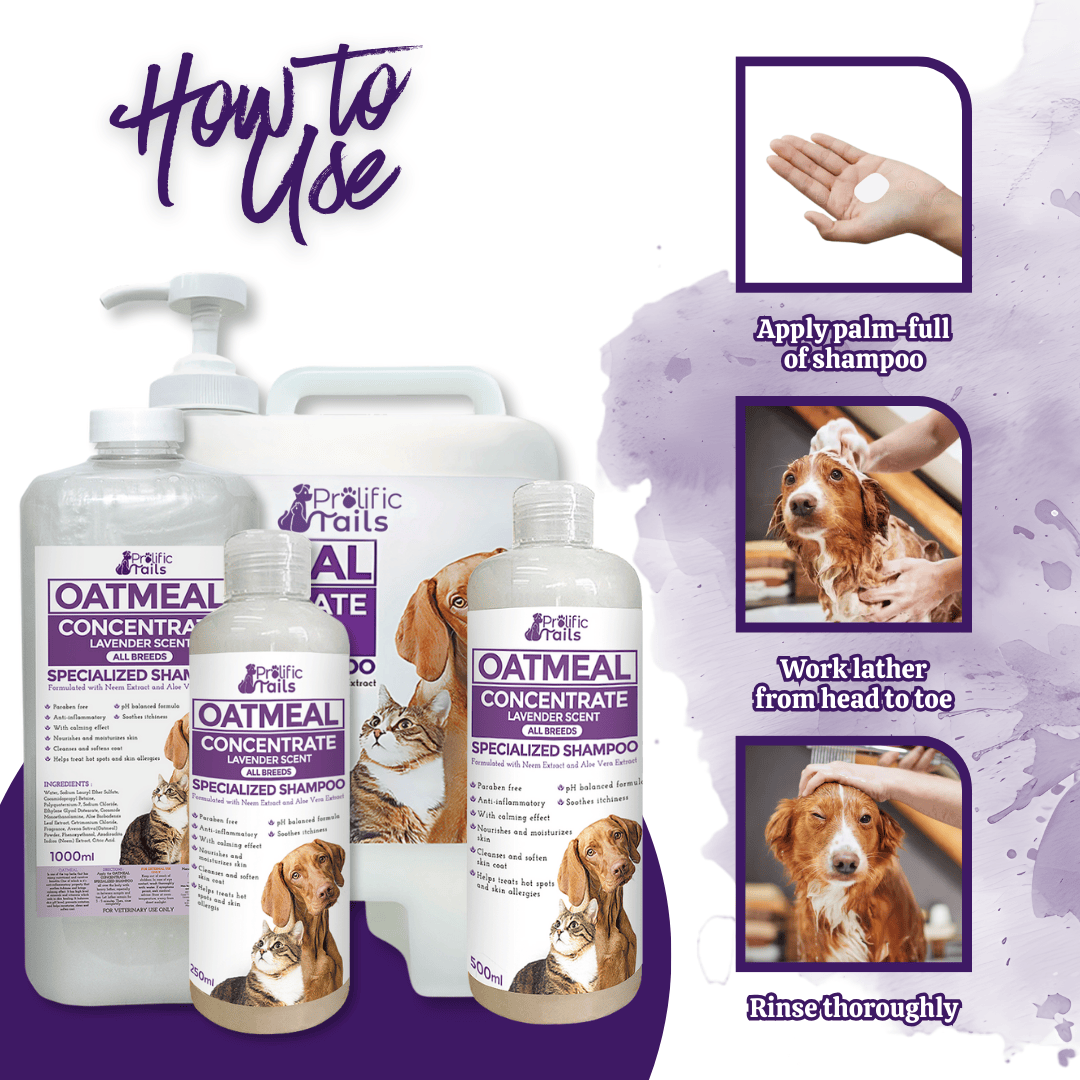 Beautiful view of Oatmeal Aloe Vera Shampoo For Cat Flea Infestation