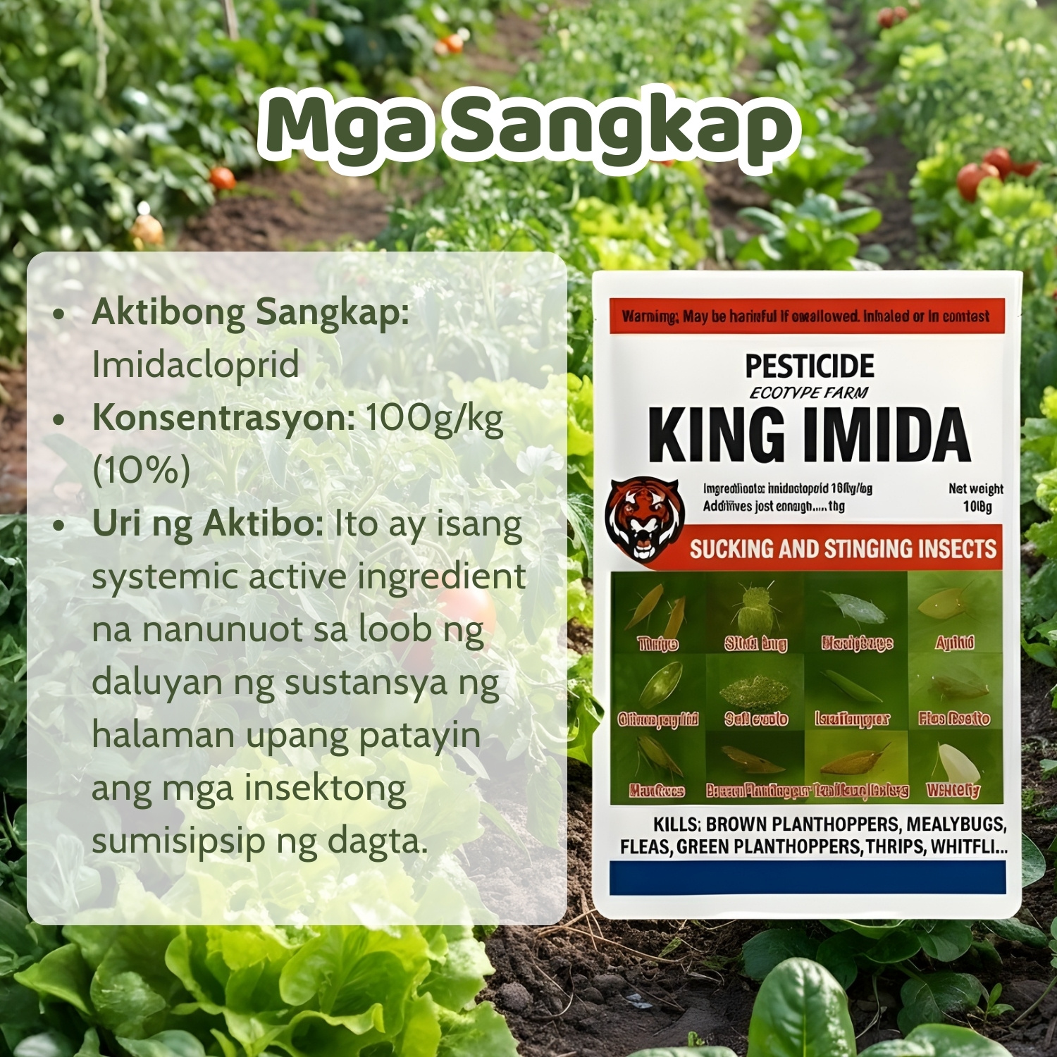 [BUY 2 GET 2 FREE] King Imida Pesticide Imidacloprid 100g: Proteksyon ...