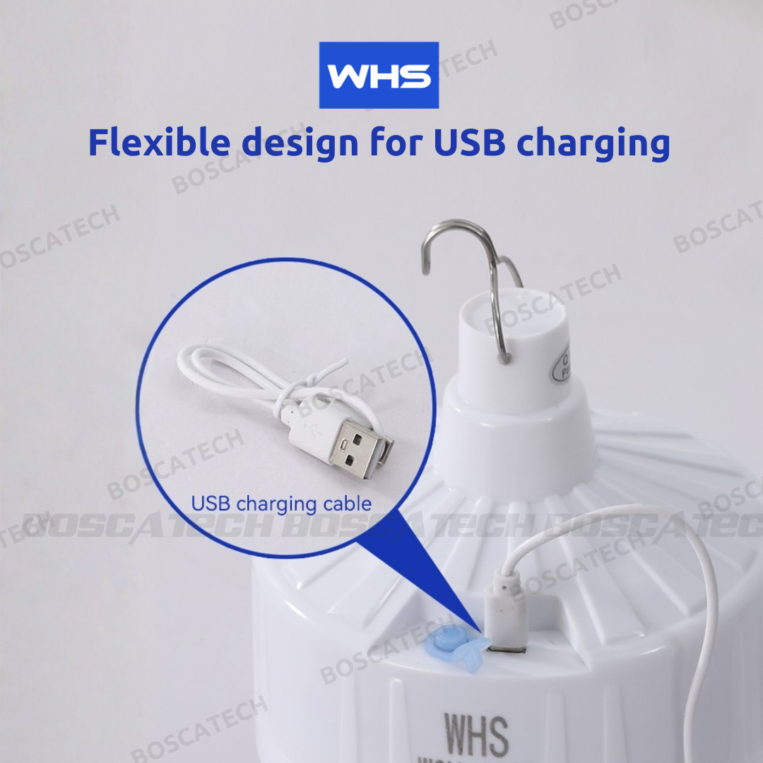 WHS Solar-Powered LED Outdoor Light Bulb with Wireless Remote IP65 ...