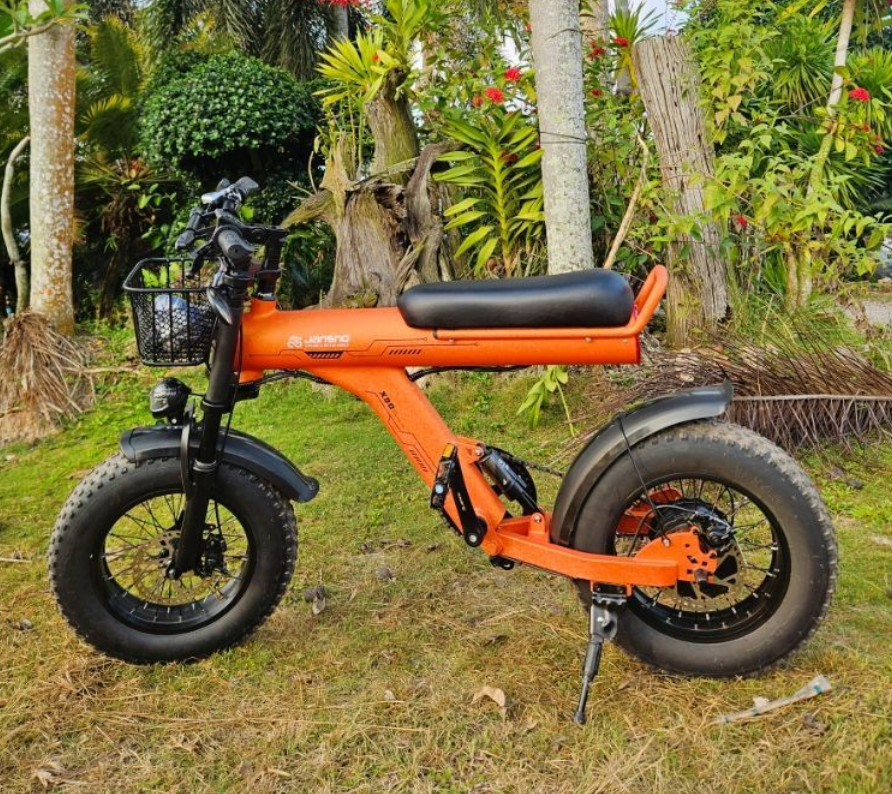 JANSNO X90 2000W Electric Bike 14/25Ah Large Battery FatTire Off-Road ...