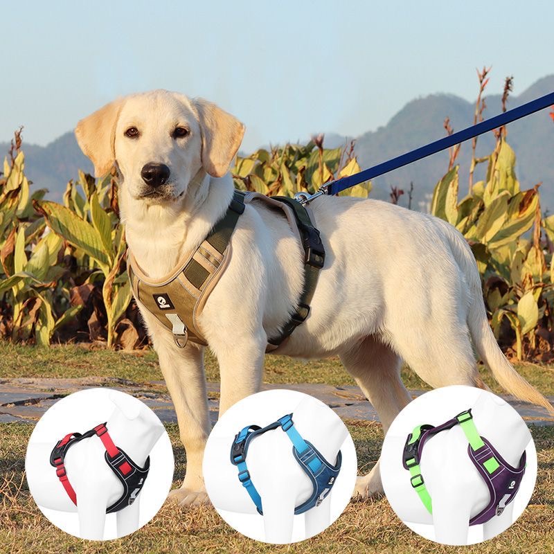 Adjustable Dog Harness, Reflective Escape-Proof with Handle, for Small ...