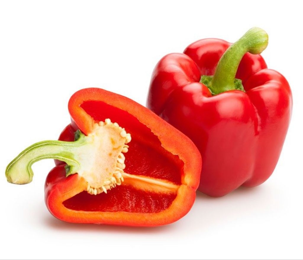 SWEET BELL PEPPER SEEDS - YOLO WONDER Variety Vegetable Seeds | Shopee ...