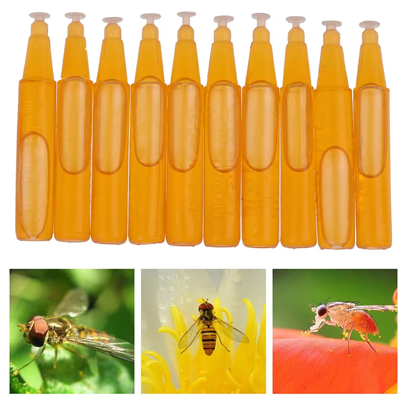 Photo inspiration: Visual Reference: Fruit Fly Attractant Lure Hanging Trap