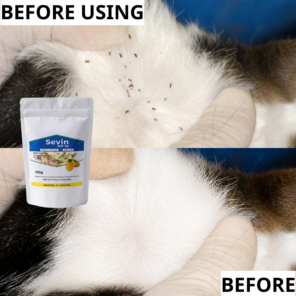 [100g Zip Bag] Carbaryl Sevin WP85 Insecticide Powder Flea Tick Control ...