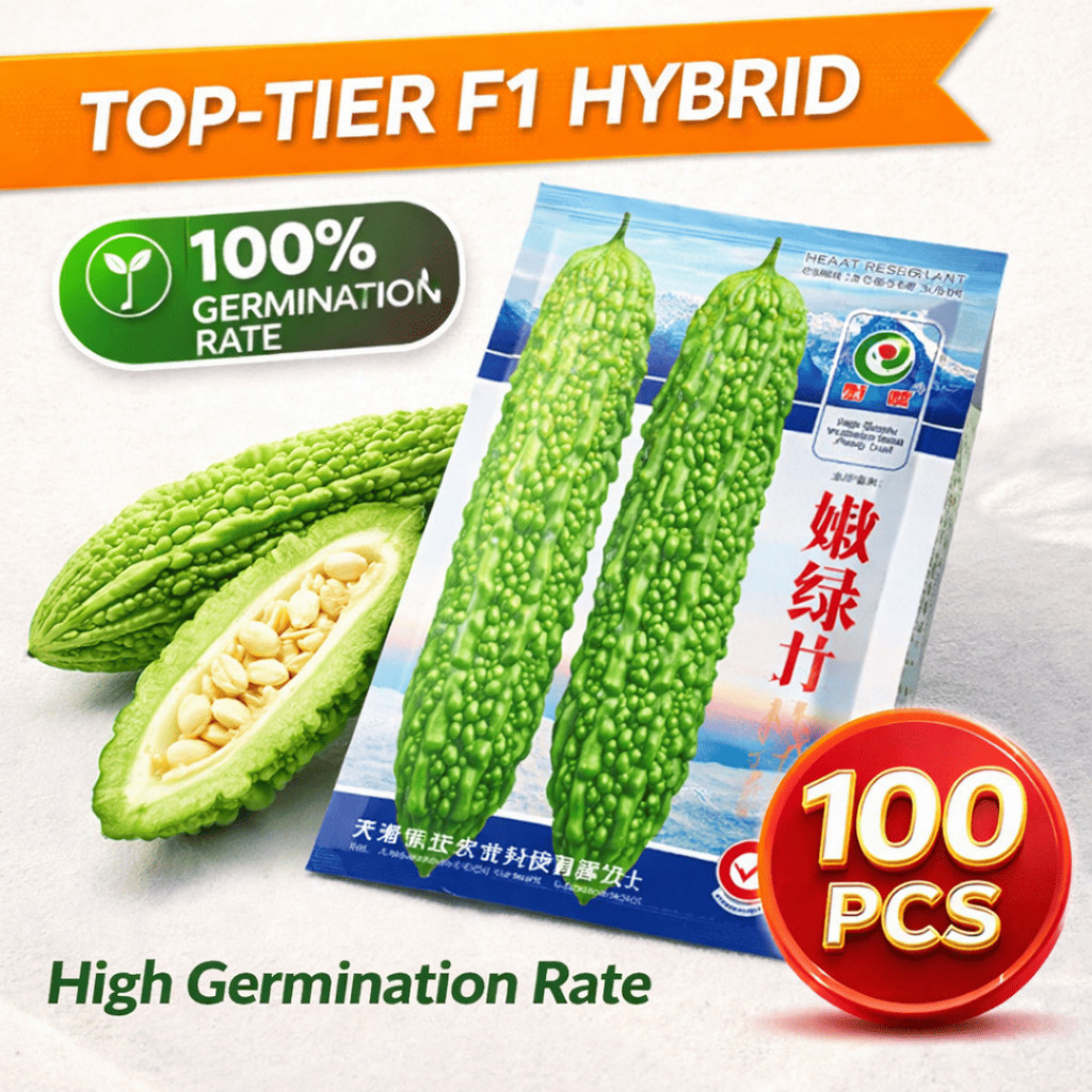 Galaxy Max F1 Hybrid Ampalaya Seeds 100PCS | High Yield Bitter Gourd ...