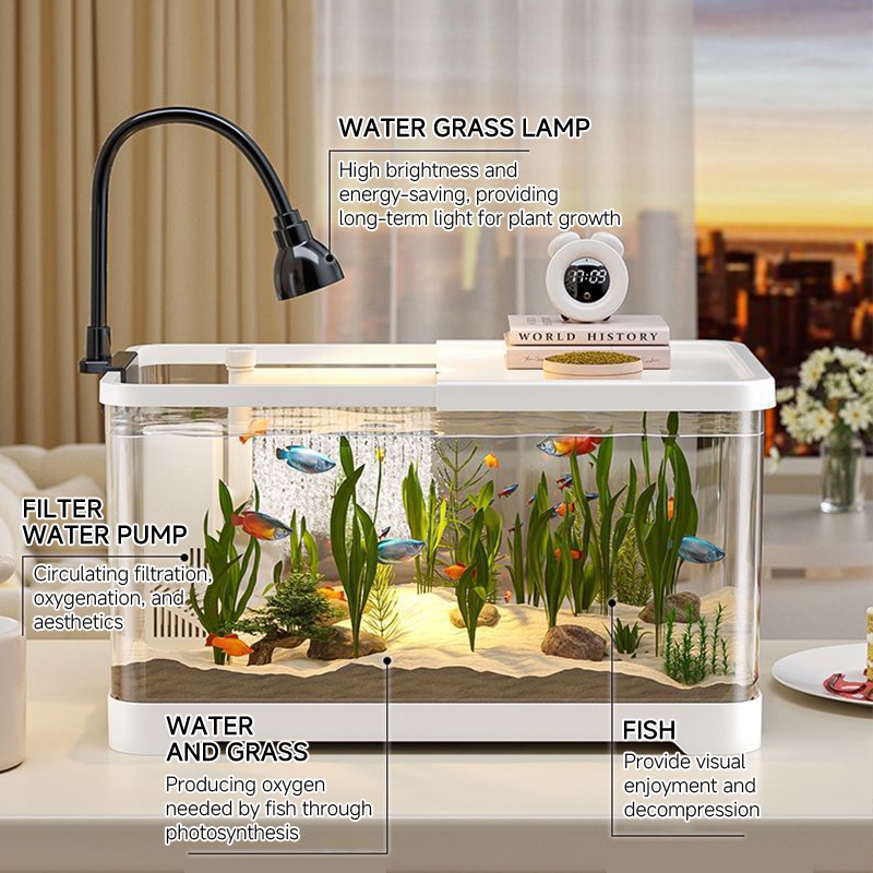 Aquarium HD Transparent Resin Fish Tank Desk Aquarium Set with LED ...