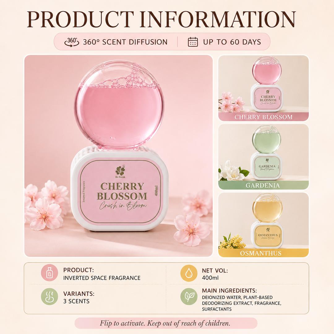 Bi Fresh Inverted Space Fragrance 400ml – Relaxing natural scent ...