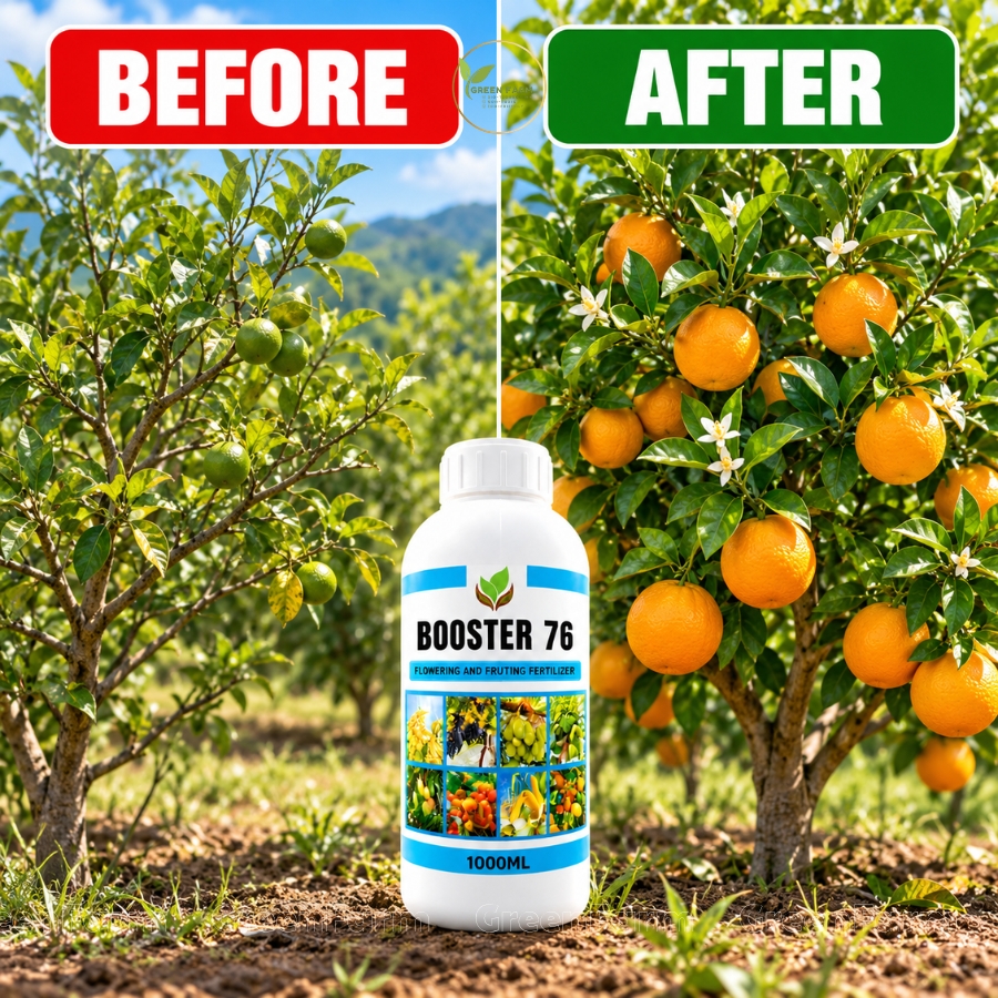 Booster 76 1000ML Flower & Fruit Set Booster for Fruits Vegetables ...