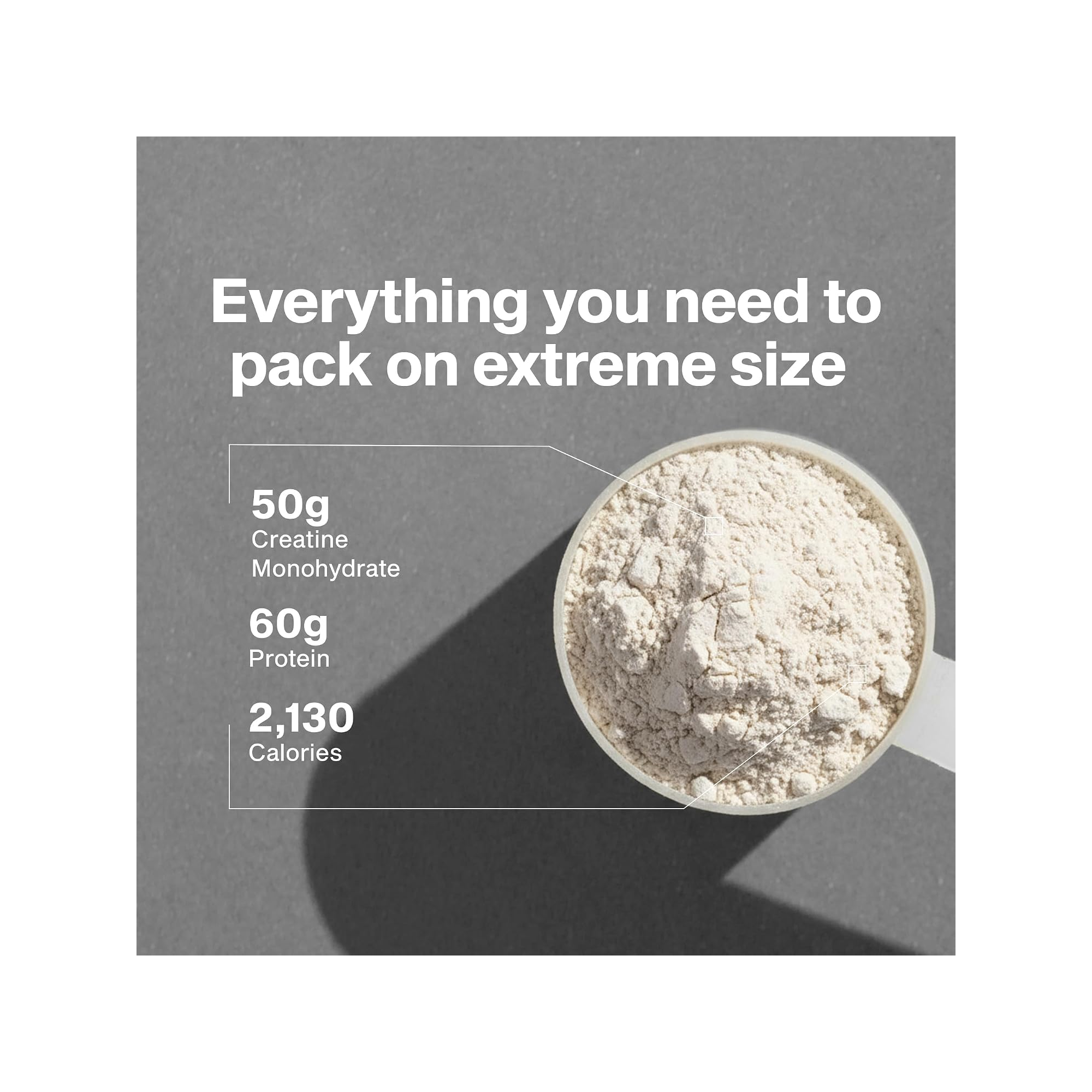 MUSCLETECH Masstech Extreme 2000 6lbs + FREE SHAKER | Shopee Philippines