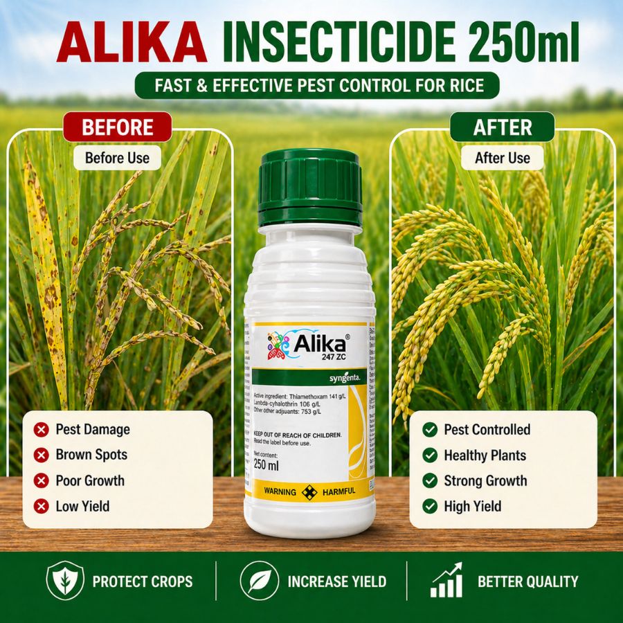 ALIKA Insecticide 250ML – Easy Mix Liquid for Crop Protection | Shopee ...