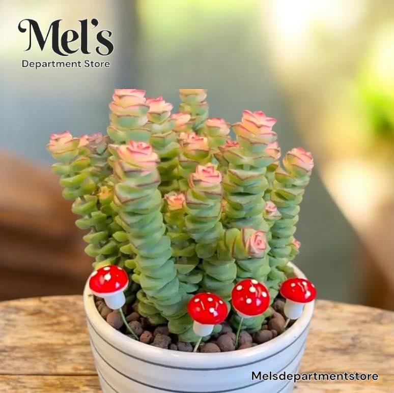 Mini Mushroom Plant Decor | Artificial Mushroom Picks for DIY Diorama ...