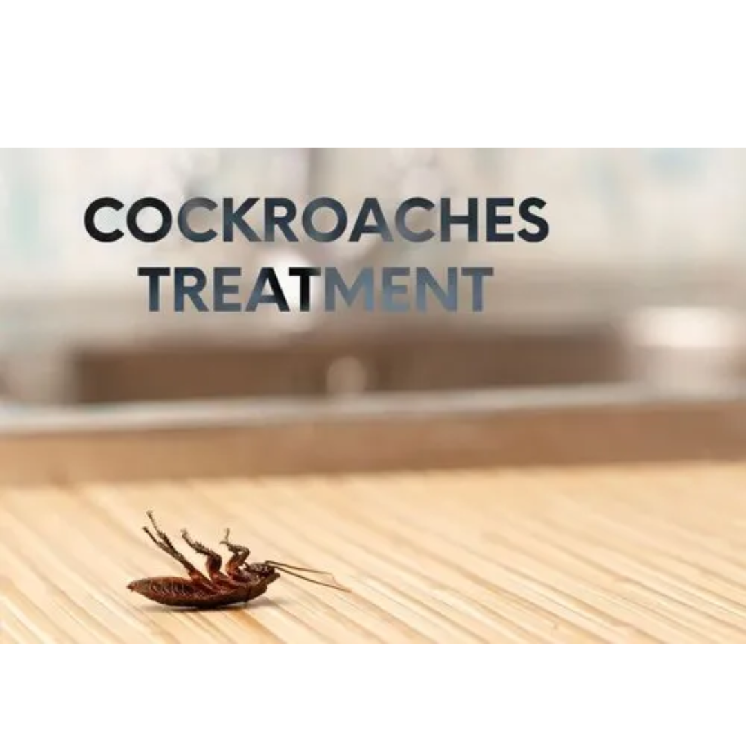 ADVION SYNGENTA COCKROACH GEL BAIT 4 TUBES, 1 PLUNGER, 2 DISPENSER ...