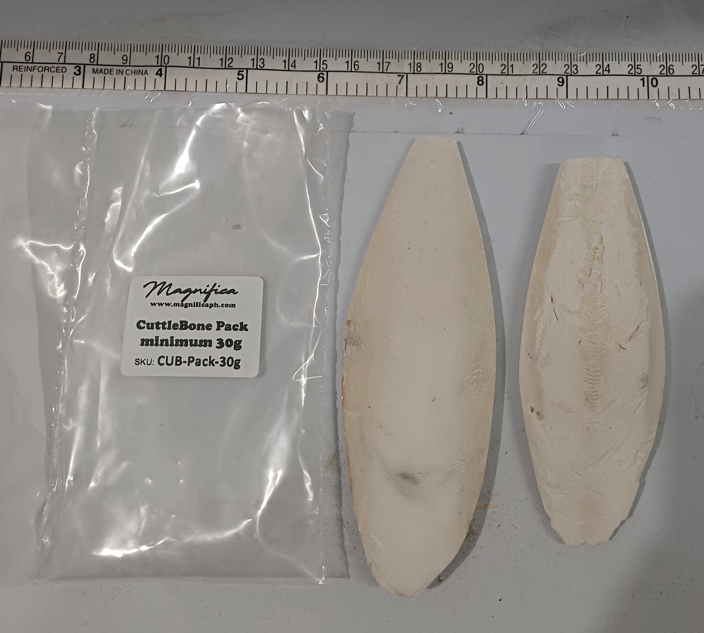 Cuttlebone * Magnifica Cuttle Bone * Chew Toy (sold per piece) | Shopee ...