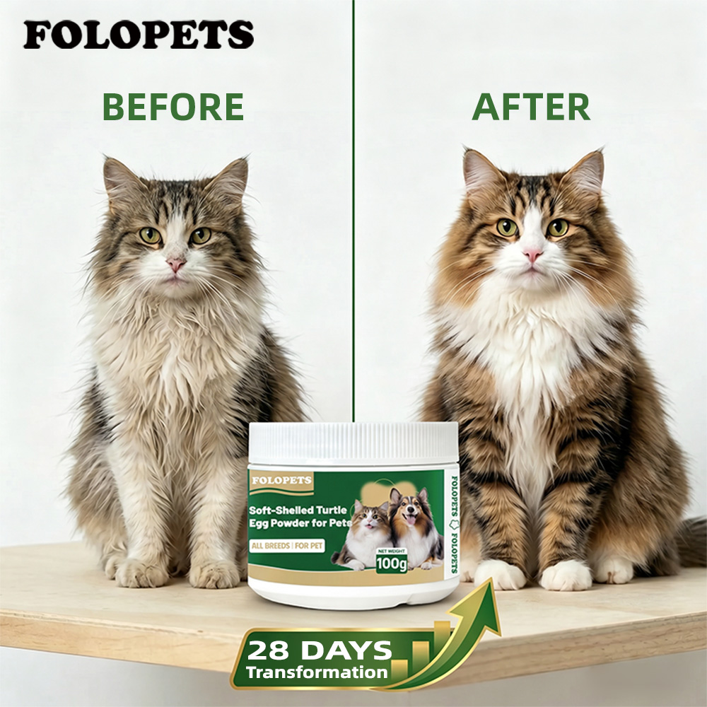 Natural Turtle Egg Fur Booster Powder for Dogs Cats Omega3 Biotin Zinc ...