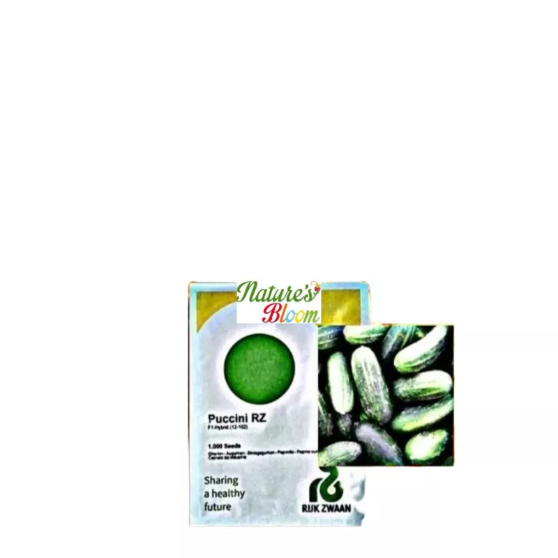PUCCÌNI RZ CUCUMBER F1 1000 SEEDS (RIJK ZWAAN) Shopee Philippines