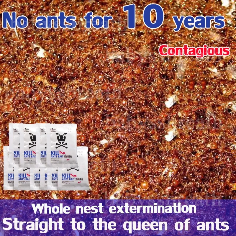 One infected whole nest died ant bait killer gel ants powder killing repellent home pest control