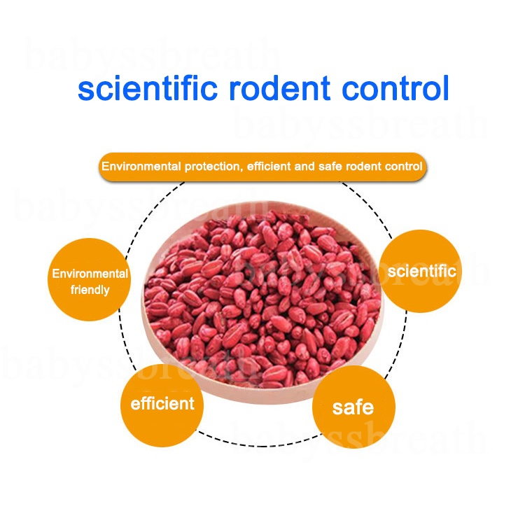 Don't die in the room rat killer poison lure that mice like to eat ...