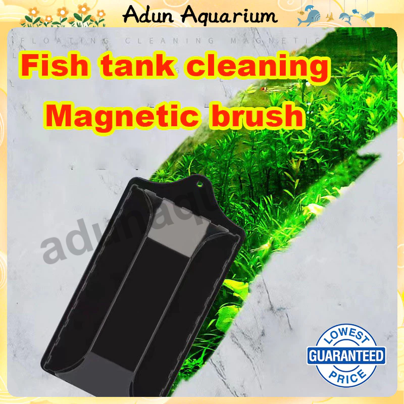 Brush Cleaner Algae Remover [SMALL MEDIUM LARGE