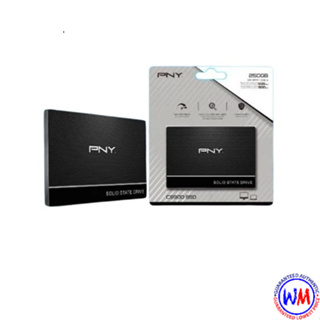 Shop pny ssd for Sale on Shopee Philippines