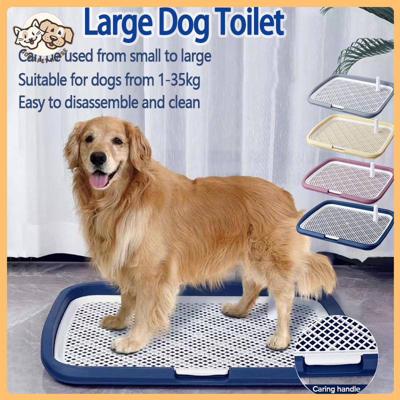 Extra large dog potty 2024 tray