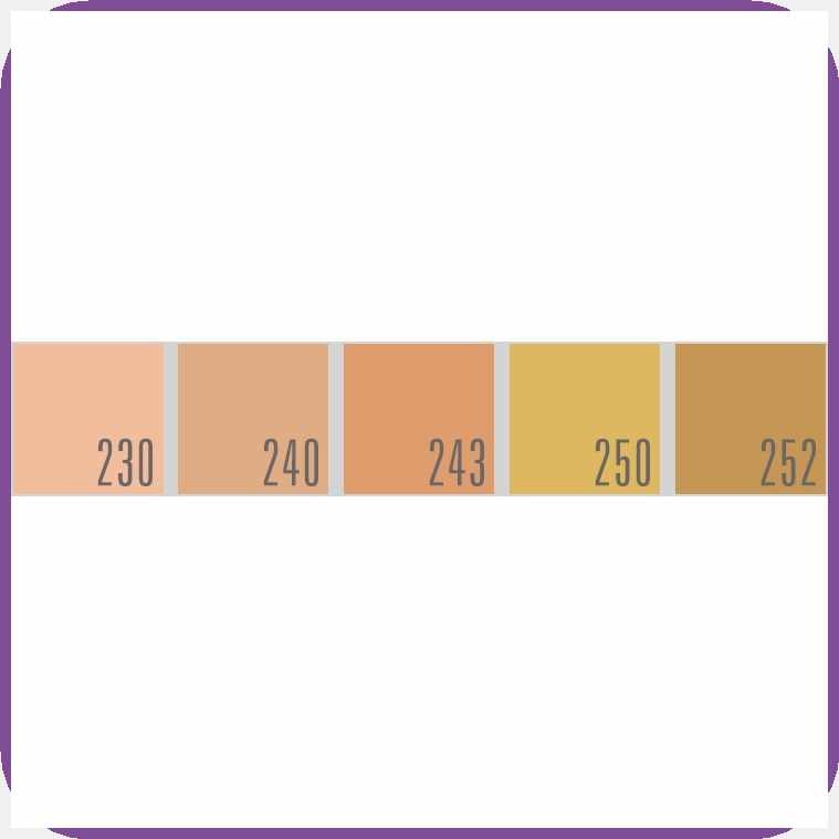 NATURACTOR/oT;{Zy,POWDER[B!FOUNDATION[L!and[y!PRESSED[W!POWDER | Shopee ...