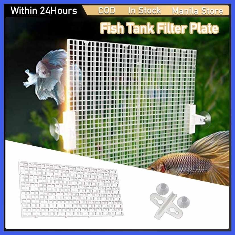 Fish:aa