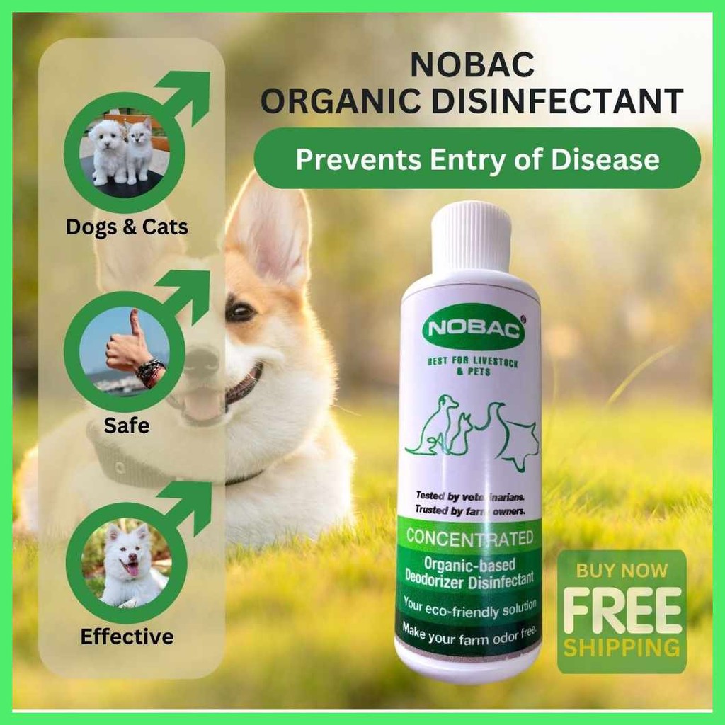 Shop nobac for Sale on Shopee Philippines