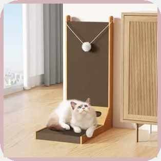 Cat_d=Scratching_v{BoardTz-L-shapedcm-VerticalVF-Wear-resistantYJ-CatAm ...