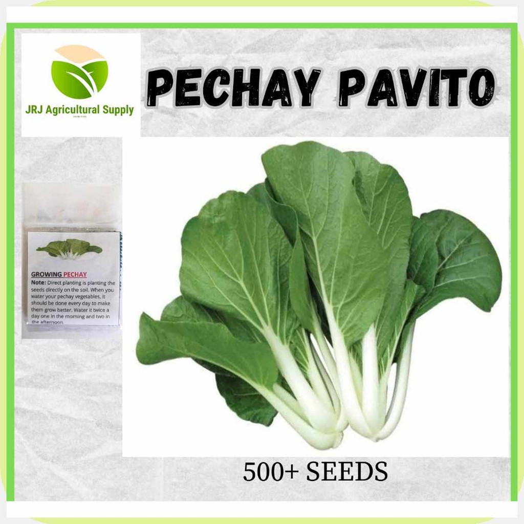 Pechay{P|Pavito_x_Seeds_qh%-_nB%1000pcs_Ju%Seeds_TD%(`Ma&1pack`wc ...