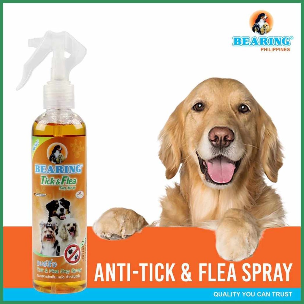 Bearing_pTick|r=&)A>Flea)Z>Dog)g>Spray)j>(250)O>ml) | Shopee Philippines