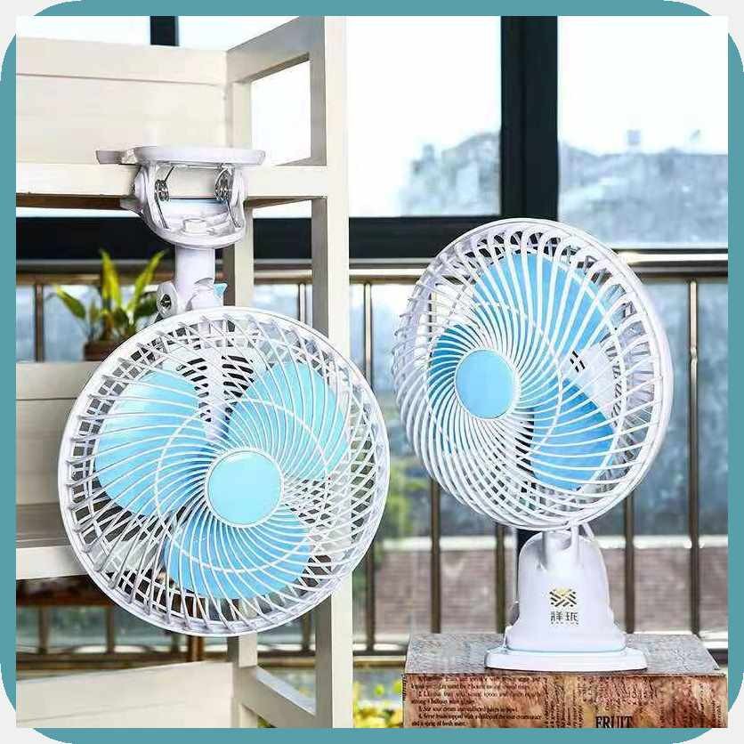 Mini]hW~Fan'wx'Home'wA