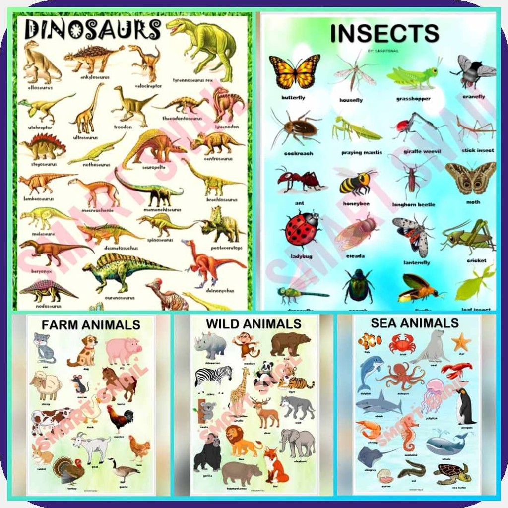 Laminated,a[ANIMALS,/jG`INSECTS[r,and!g,DINOSAURSh-Educationalx-Wallx ...