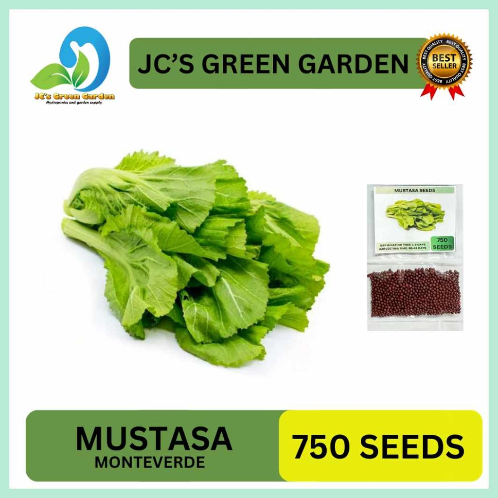 VALUE(J^PACK^WD`(750!j[SEEDS),F[MUSTASA-KSEEDS/MONTEVERDE-XVARIETY/FOR ...