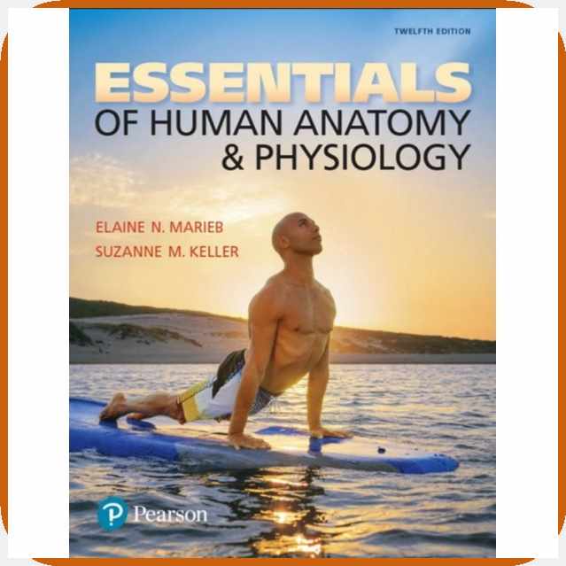 Essentials^y[of@i]Human|Ci=Anatomy(YN=&(Xb=Physiology(HR=12th(cu ...