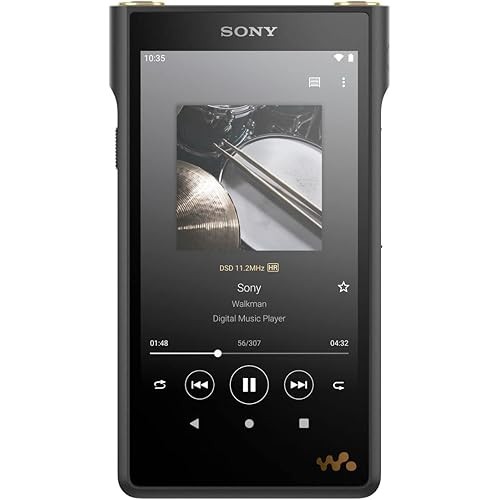 Sony Walkman 128GB WM1 Series NW-WM1AM2: Built-in Android/USB-TtpeC ...