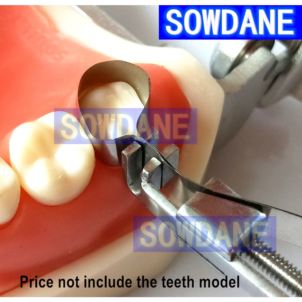 Dental Tofflemire Matrix Netainer Stainless Steel Teeth Whitening