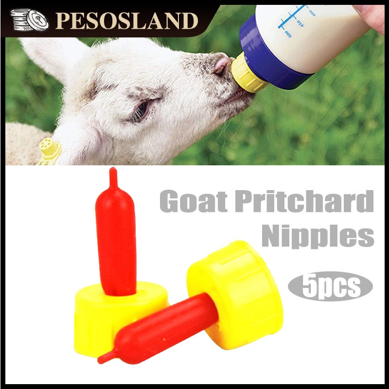 5Pcs/set Lamb Nipple Drinker Nursing Lambs Pacifier Lamb Pritchard ...