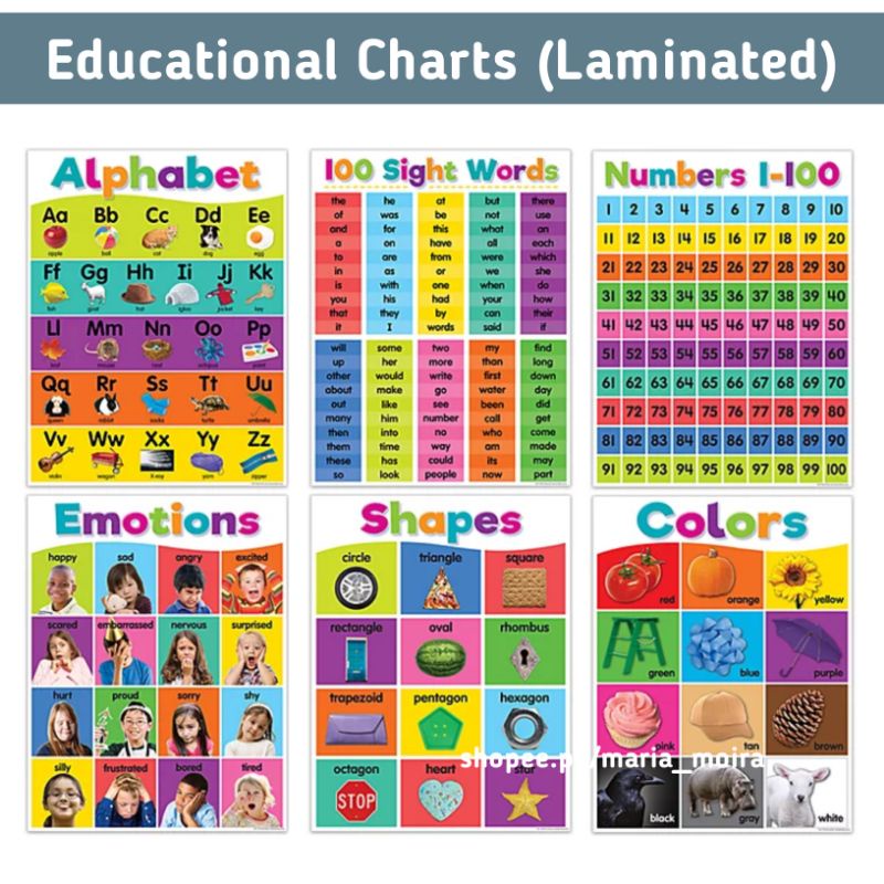 ﹉♨Educational Charts | A4 Size | Laminated Educational Wall Chart