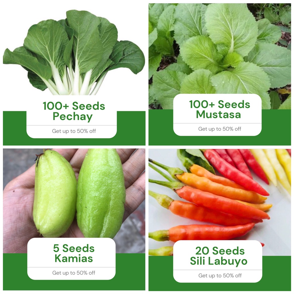 4 in 1 Pack Seeds Pechay, Mustasa, Kamias, Sili Labuyo Vegetable Plant ...