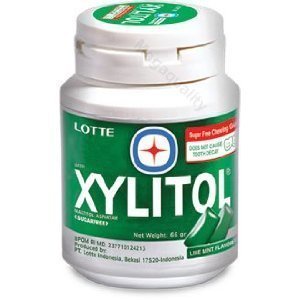 Xylitol Handy Bottle Fresh Mint Chewing Gum G Shopee Philippines