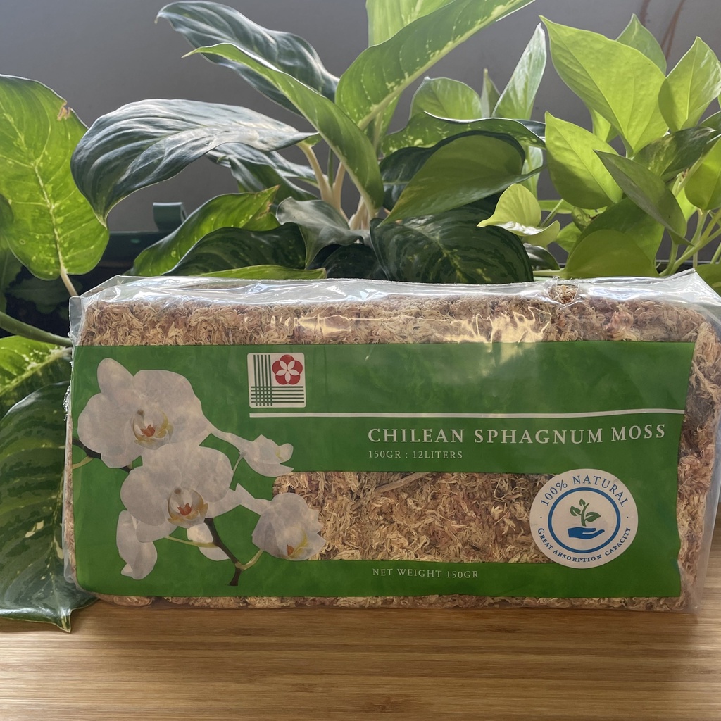 TanimTayo Sphagnum Moss for Carnivorous Plants Chilean Sphagnum Moss