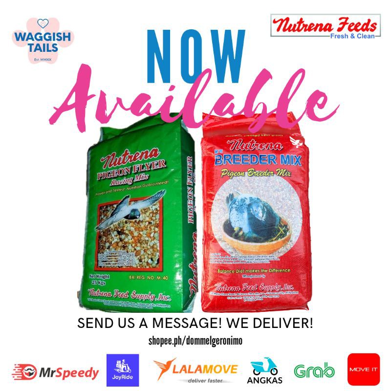 №Nutrena Flyer And Breeder Mix (1Kg Repacked) | Shopee Philippines