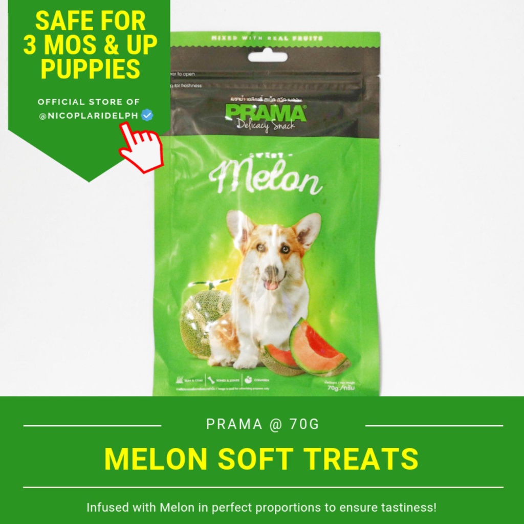 Prama Melon Delicacy Snack Made with Fresh Chicken Meat for Puppies and