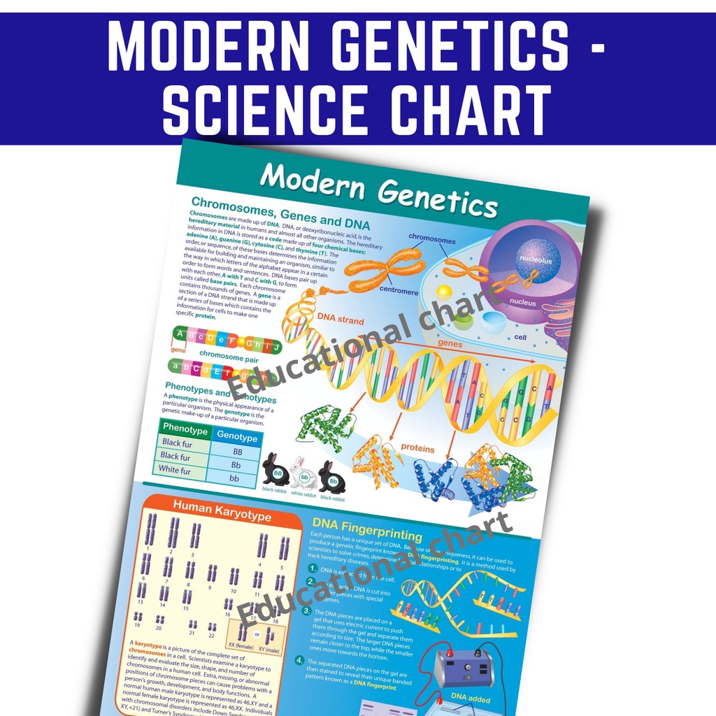 MODERN POSTERS CHARTS I ALL ABOUT SCIENCE CHARTS, A4 Size
