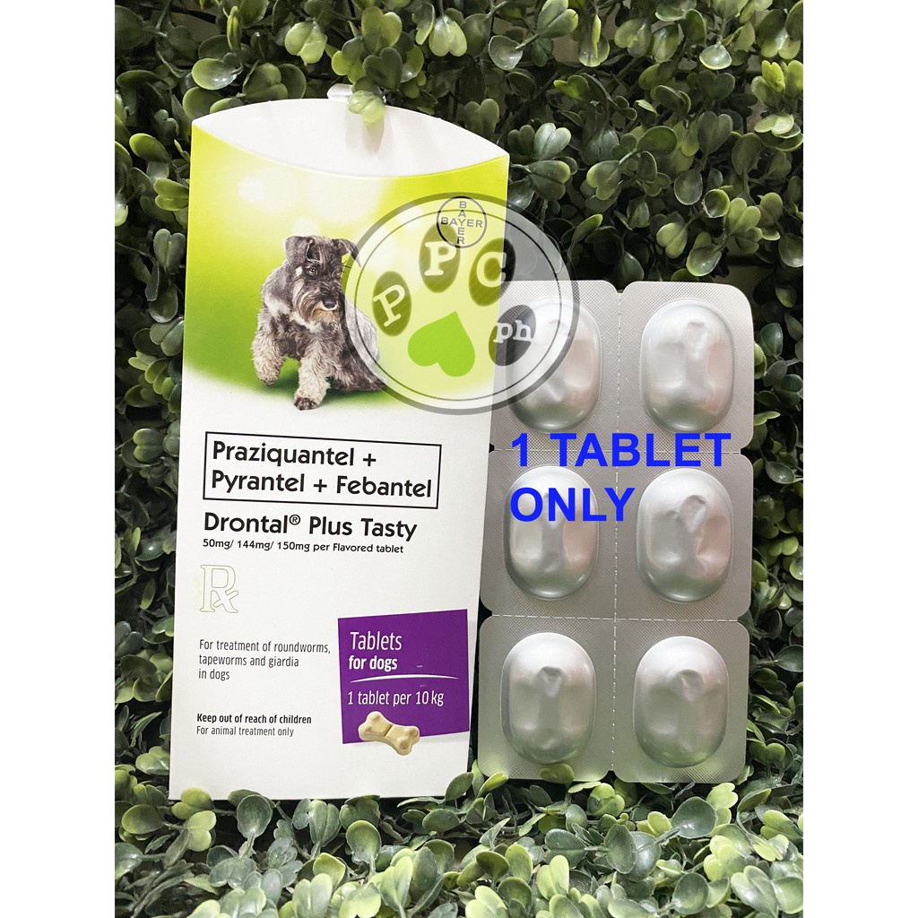 ﹍Drontal Plus Tasty Bone Tablet Dewormer 1 Tablet | Shopee Philippines