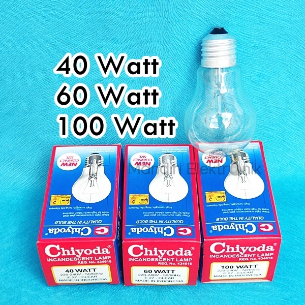 Chiyoda Ps55 40 60 100 Watt Incandescent Lamp Chicken Bulb Incandescent