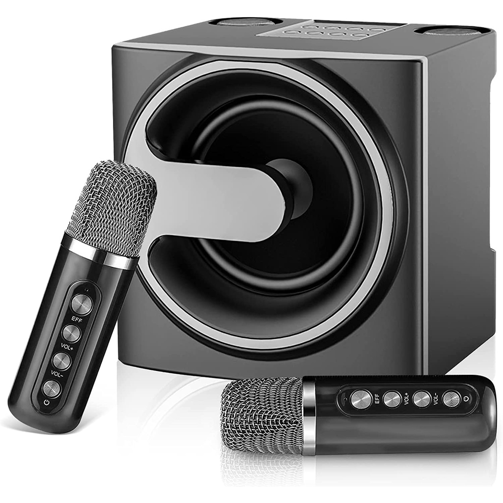 Su-Yosd 100W Professional Karaoke Dual Microphone Wireless