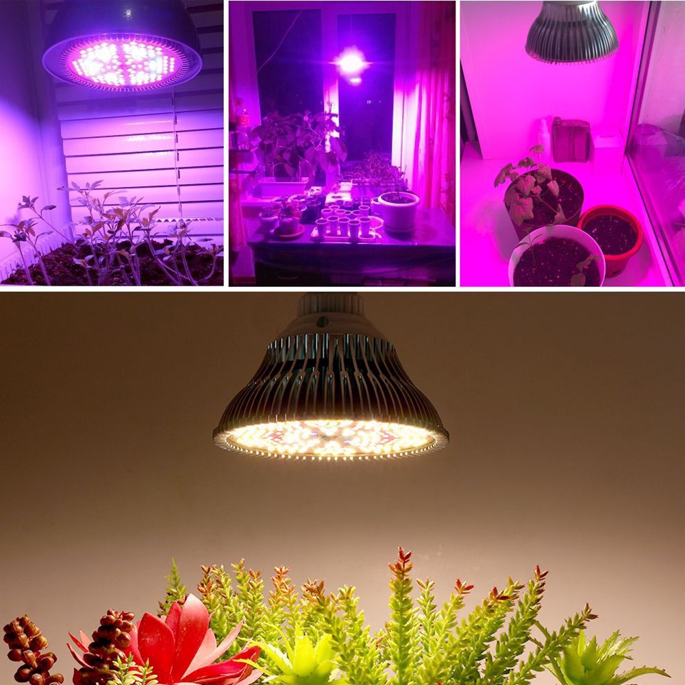 FURTHERLUX 300W Full-Spectrum LED Grow Light - Sunlight Plant Lamp ...
